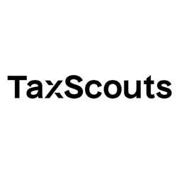 Profile picture for user TaxScouts
